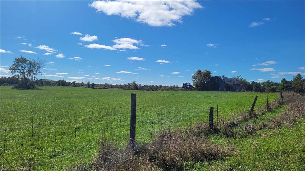 99 Pelow Road - Photo 1