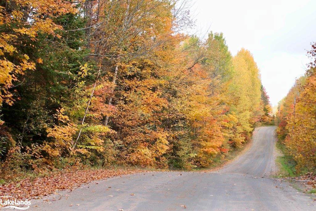 0 Minnicock Lake Road - Photo 1