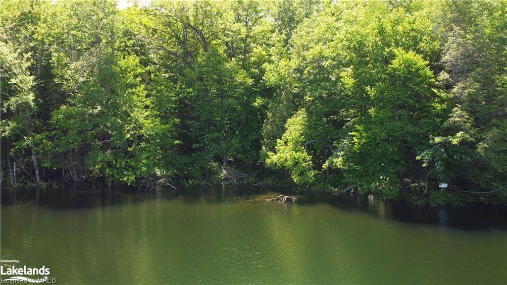 LT 14 Clear Lake Estates - Photo 1