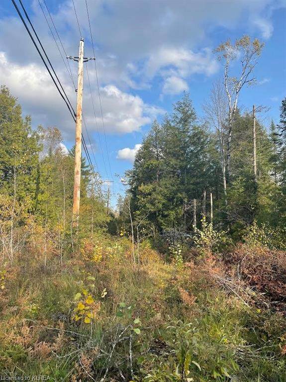 PT. LT. 25 Steenburg Lake Road - Photo 1