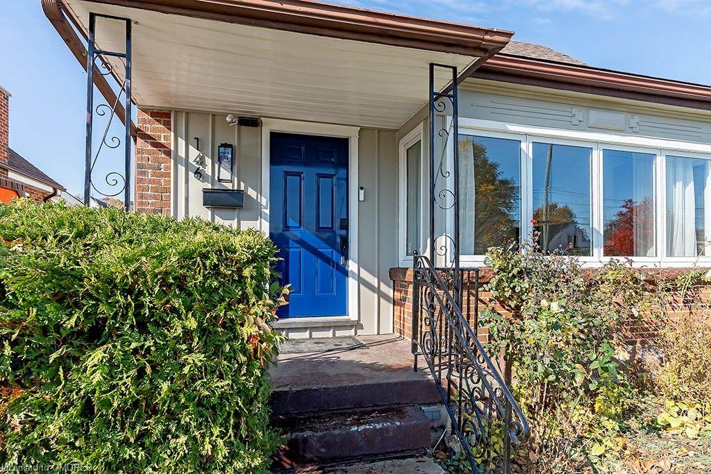 146 Erindale Avenue - Photo 1