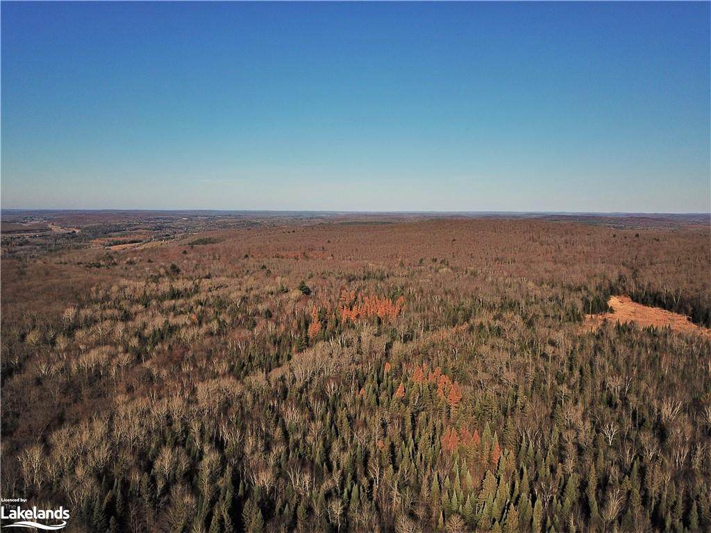 442 Three Mile Lake Road - Photo 1