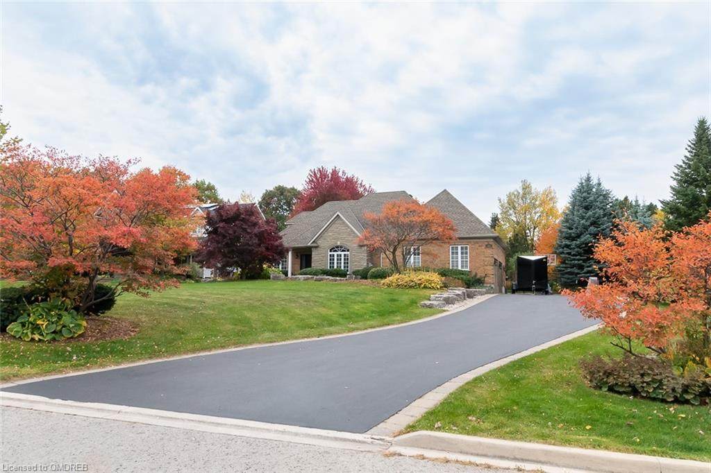 51 Appaloosa Trail - Photo 1
