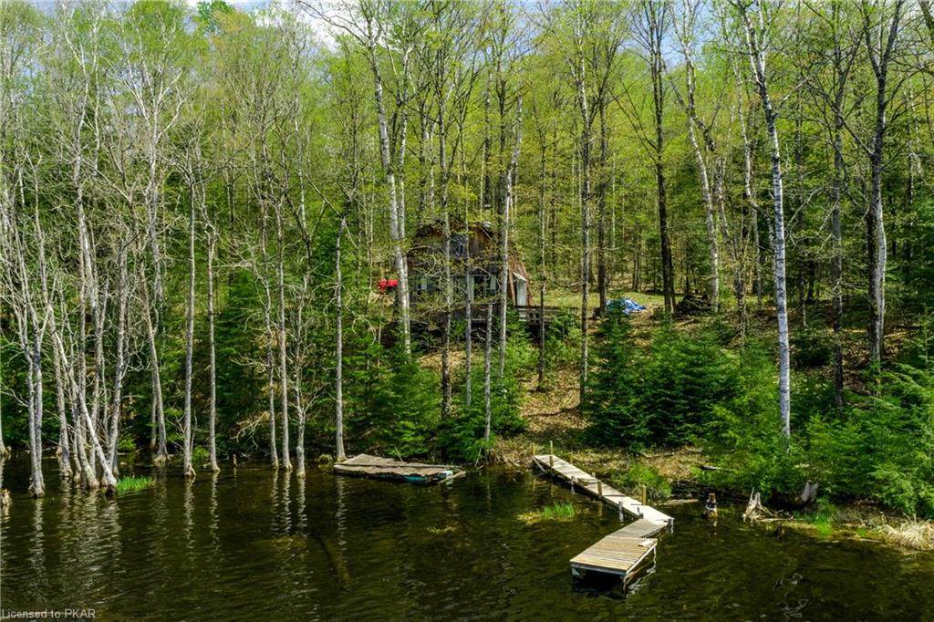 2067 Glamor Lake Road - Photo 1