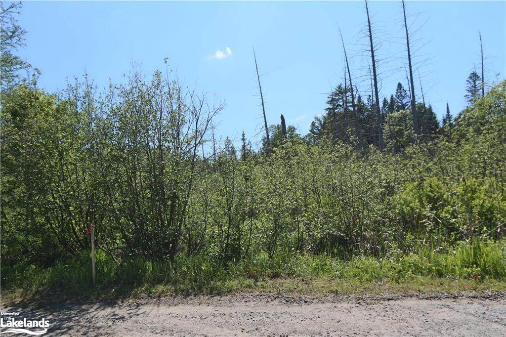 0 White Eagle Trail - Photo 1