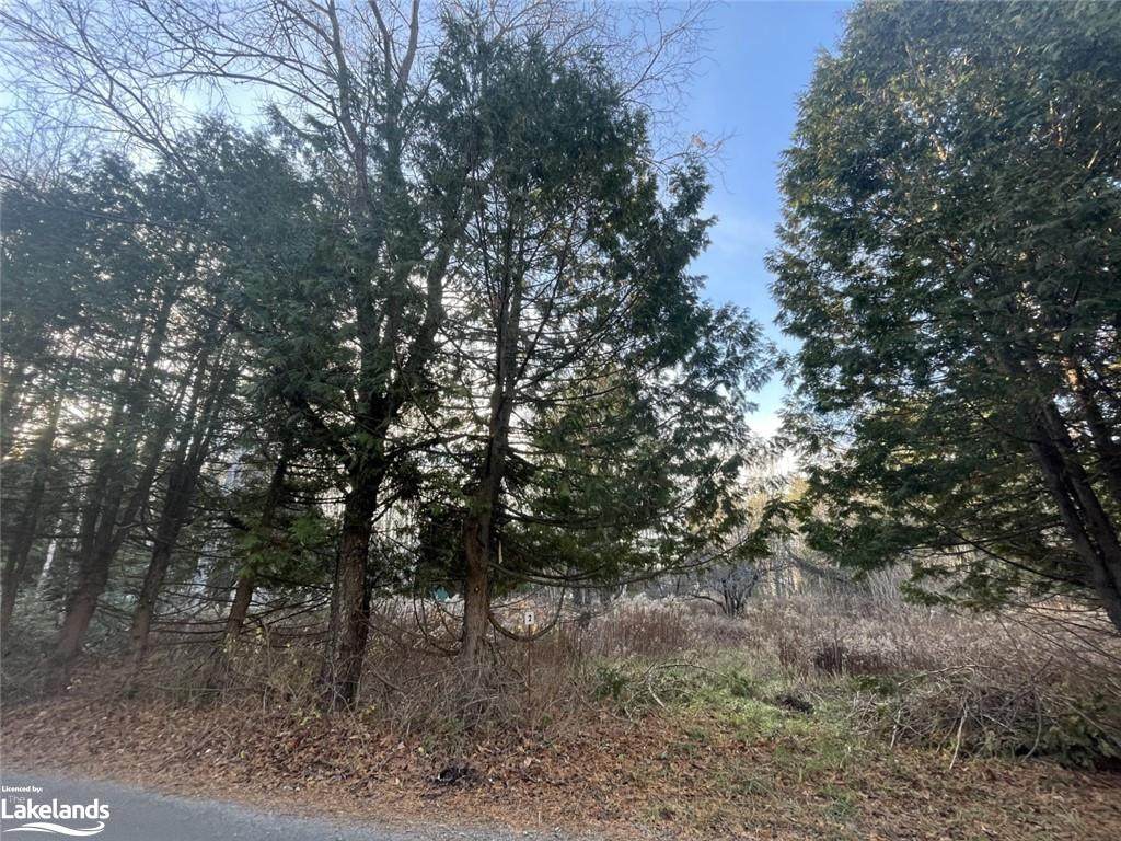 0 Providence Drive - Photo 1