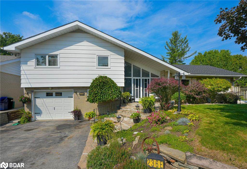 236 Albert Street - Photo 1