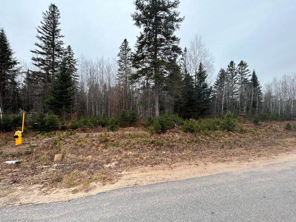 LOT 26 Nicklaus Drive - Photo 1