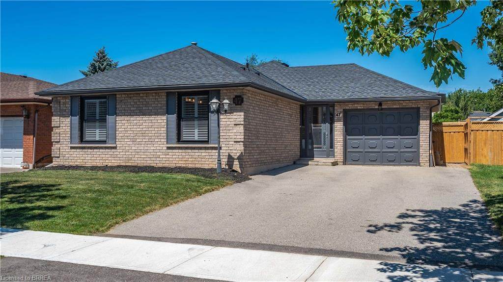 47 Ruffian Road - Photo 1