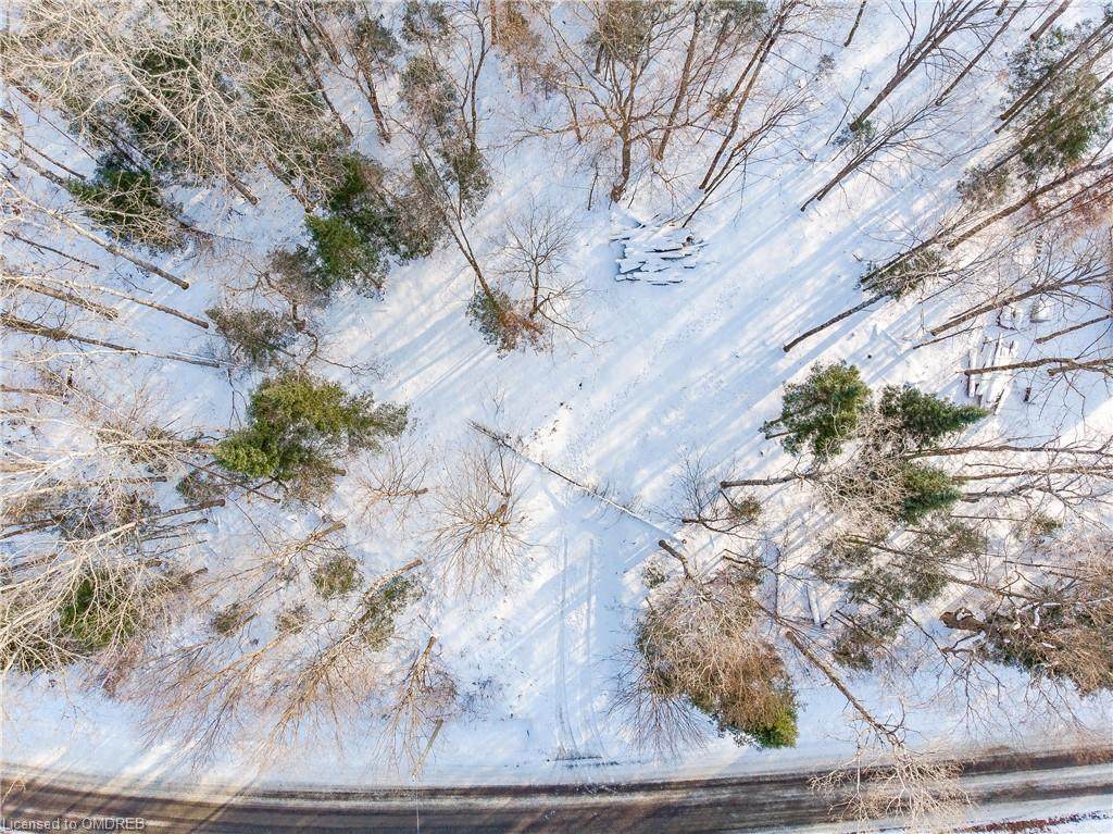 0 Deer Lake Road - Photo 1