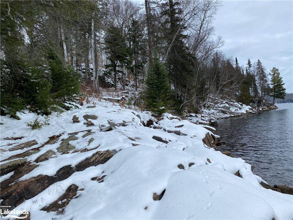 LOT 35 Alpine Ridge Road - Photo 1