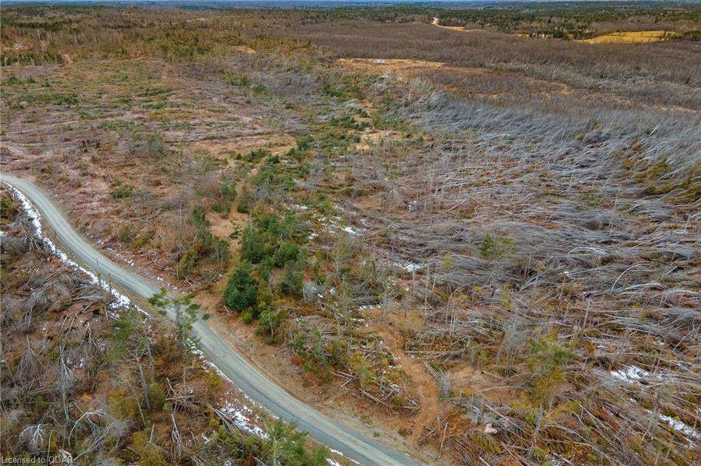 0 Potter Settlement Road - Photo 1