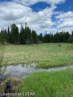15263 Highway 17 Highway - Photo 1
