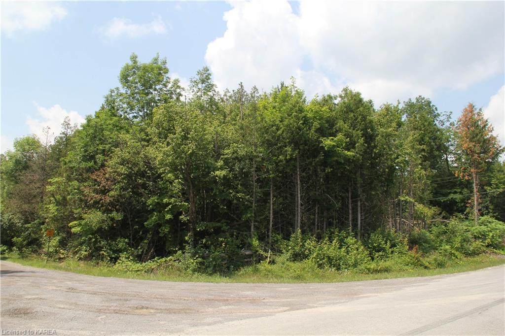0 Lime Lake Road - Photo 1