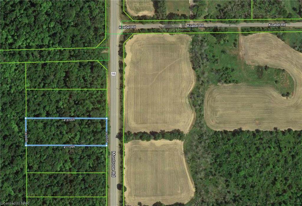 N/A Montrose Road - Photo 1