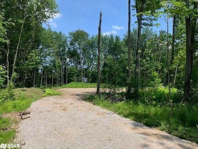 3502 Bayou Road - Photo 1