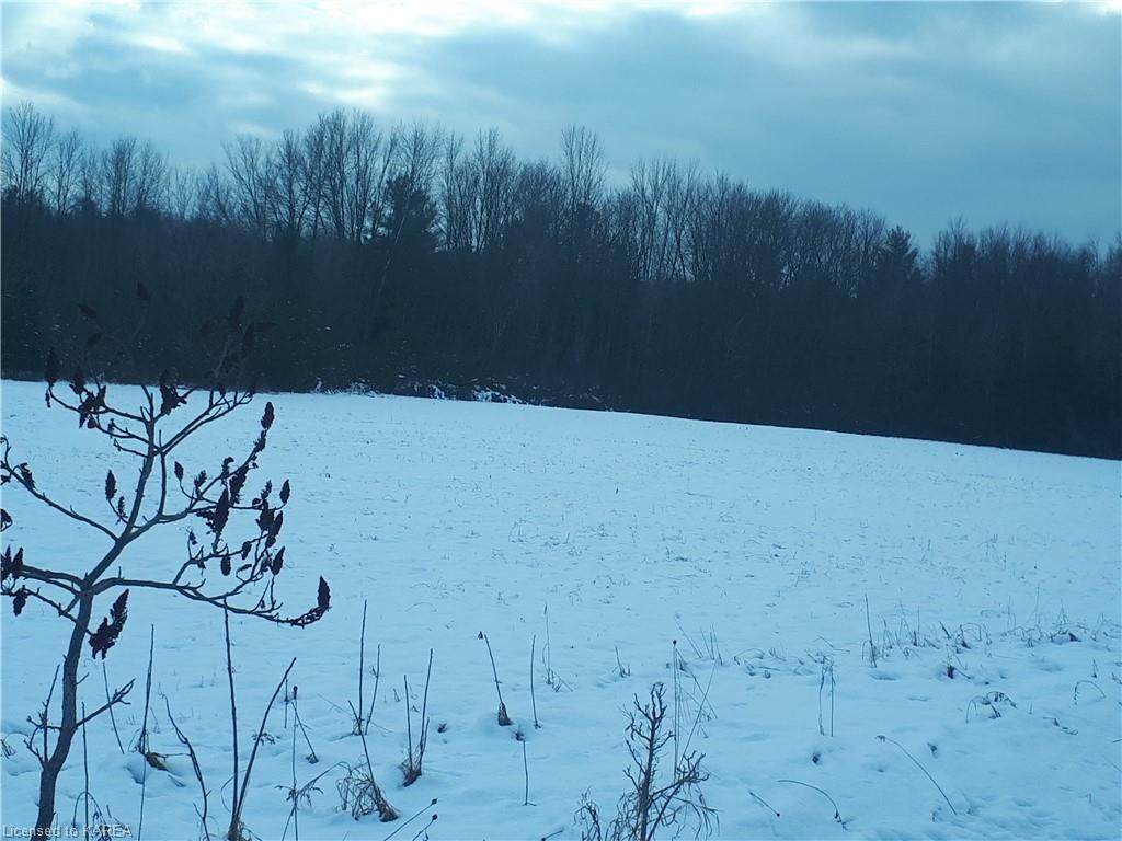 0 County 25 Road - Photo 1
