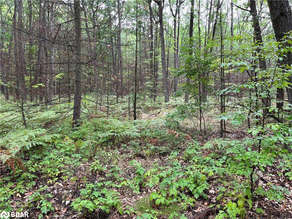 2234 Klondike Park Road - Photo 1
