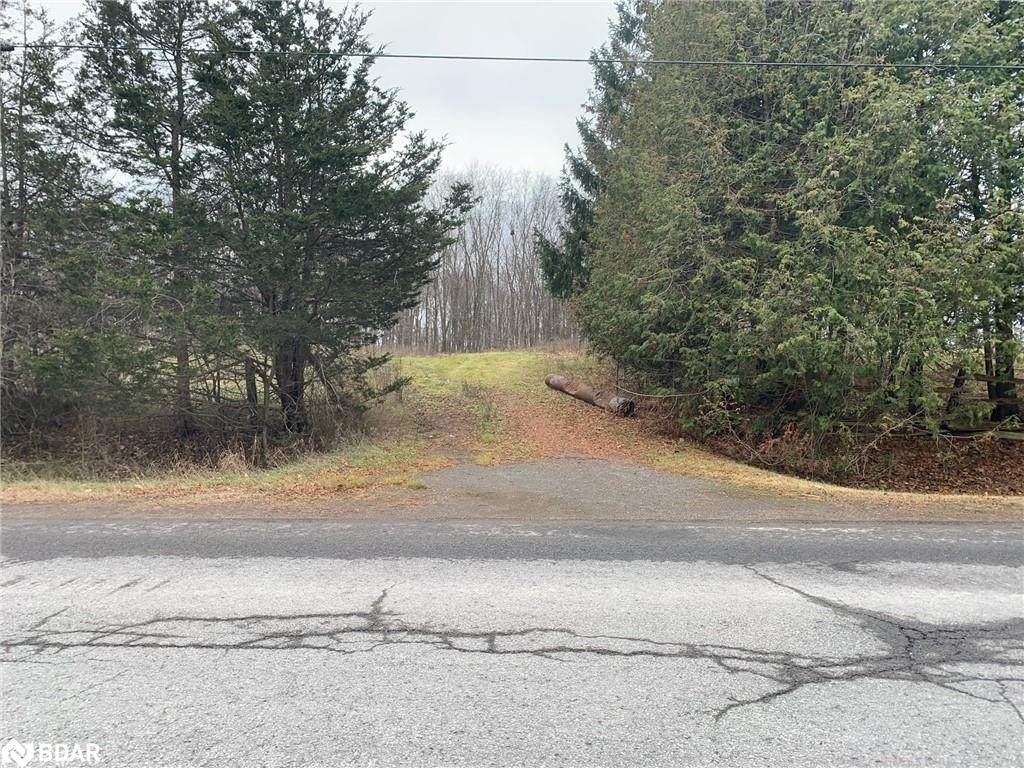 PT LT 10 Beechwood Road - Photo 1