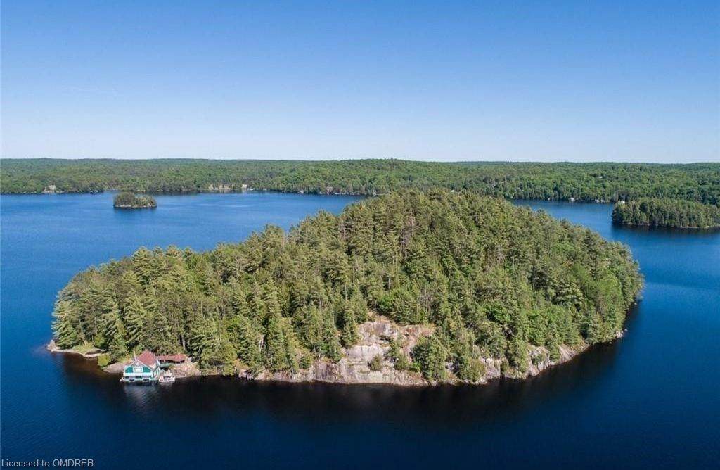 100 Crown Island - Photo 1