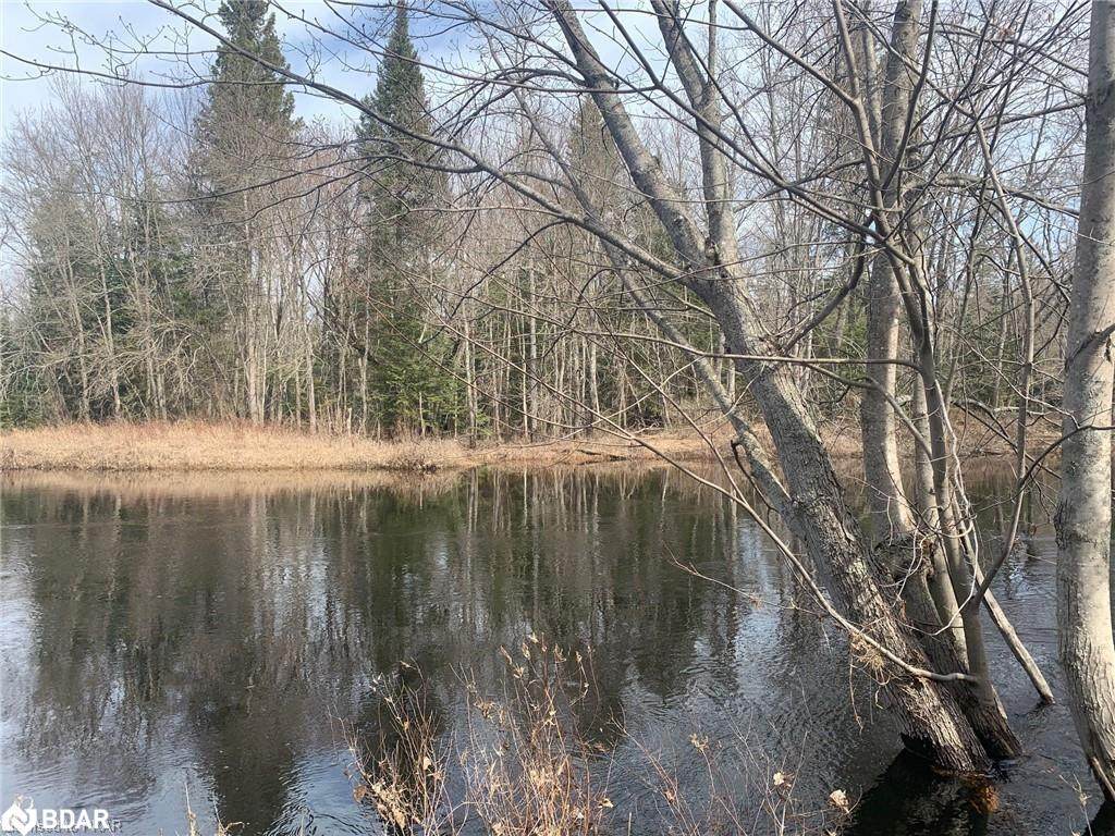 1 York River Shore - Photo 1
