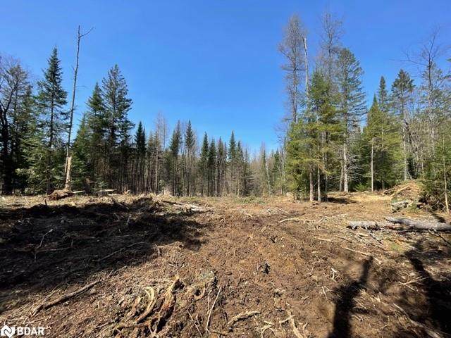 LOT 19 Meadow View Road - Photo 1