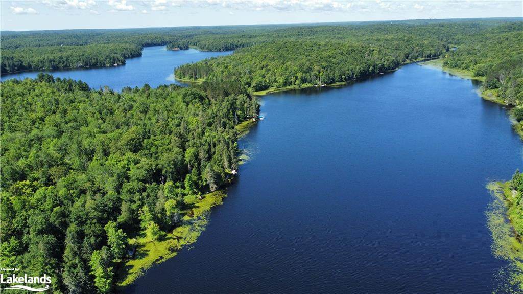 0000 Jack's Lake - Photo 1