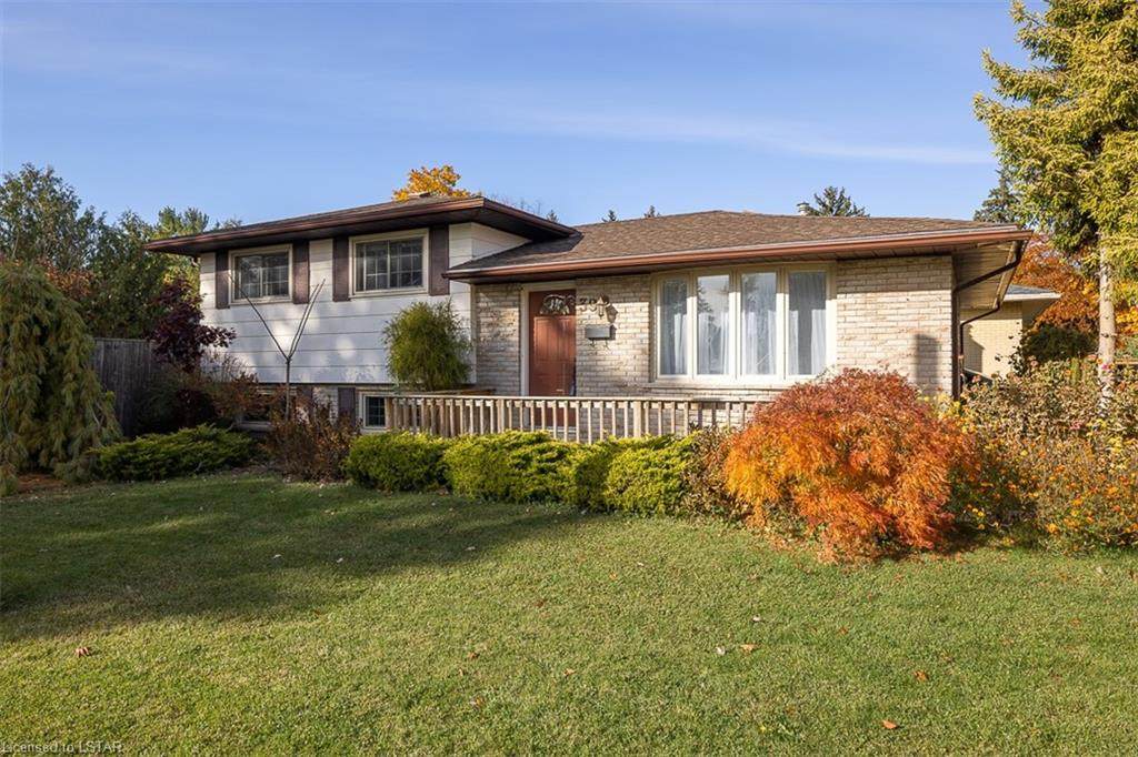 39 Patricia Street - Photo 1