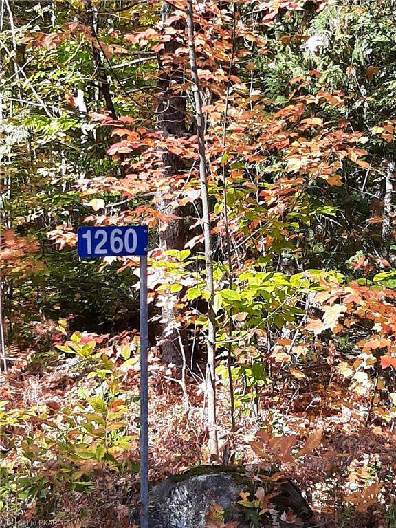 1260 Old Parry Sound Road - Photo 1