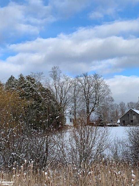 135077 Concession Road 8 - Photo 1