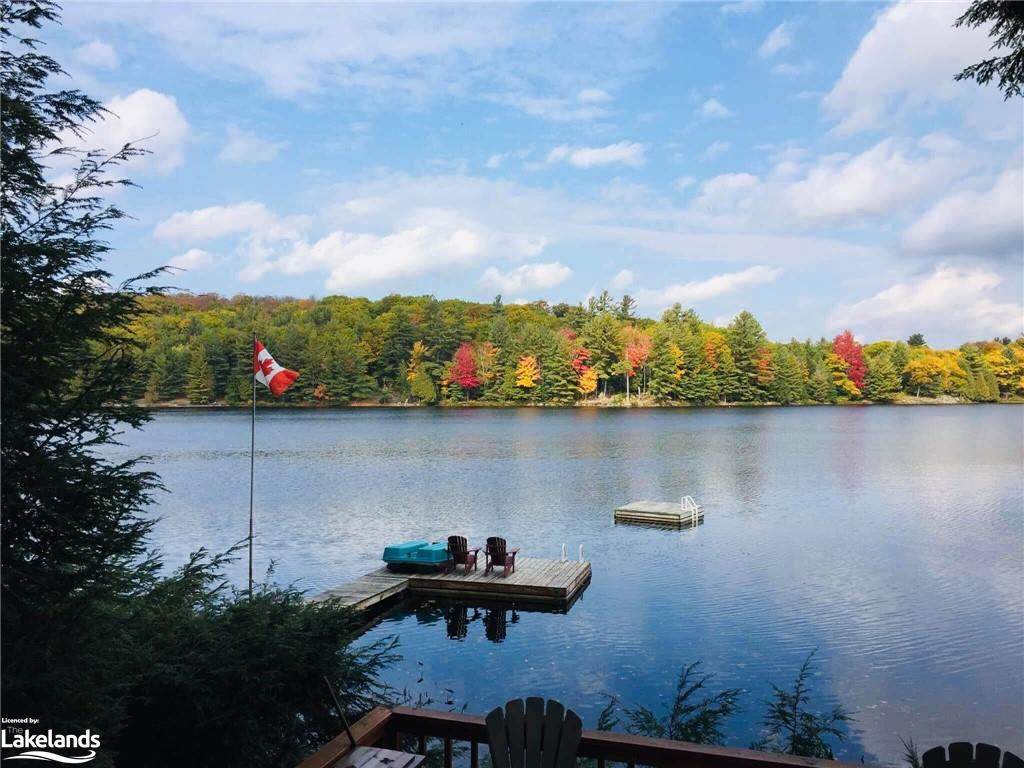 1395 Buckskin Lake Road - Photo 1