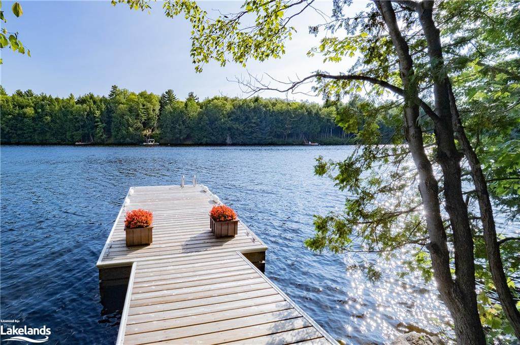 38 Miller Island - Photo 1