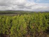 288 Sierra Vista Trail - Photo 4