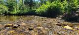 74 Creek Side Trail - Photo 1