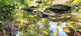 74 Creek Side Trail - Photo 4