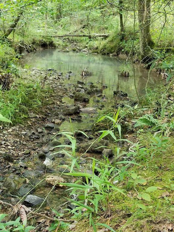 000 Trout Creek Road - Photo 1