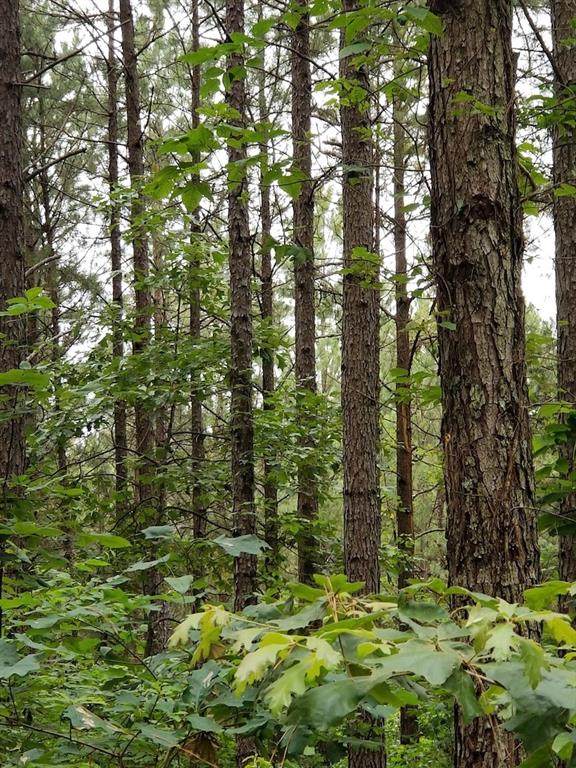 000 Trout Creek Road - Photo 1