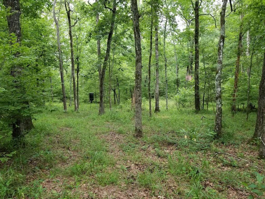 000 Trout Creek Road - Photo 1