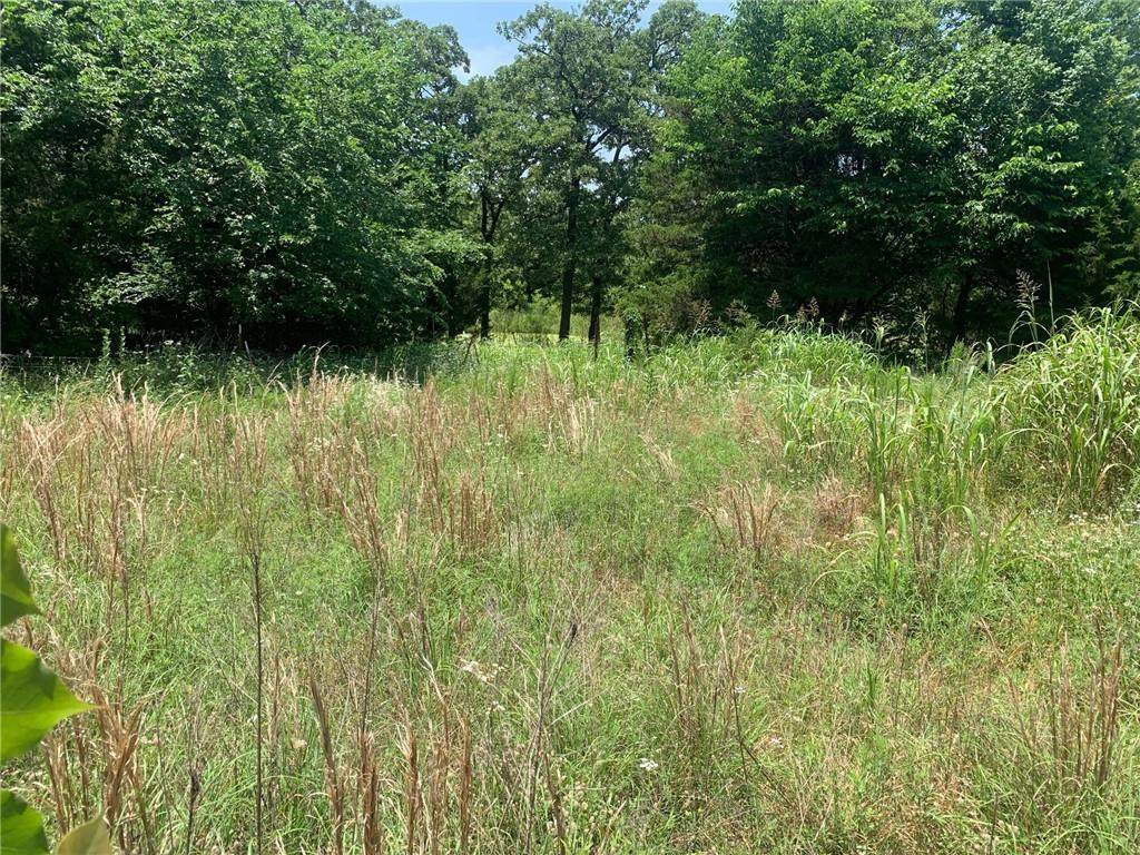 000 Pecan Meadows Lane - Photo 1