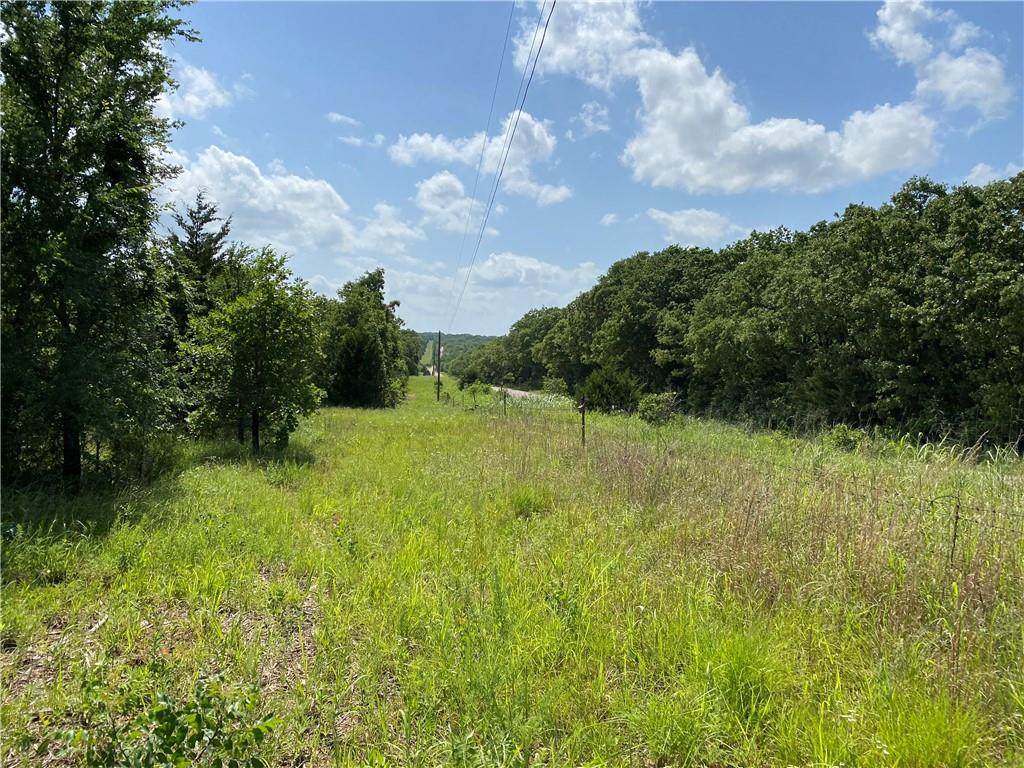 Rattlesnake Hill Road - Photo 1