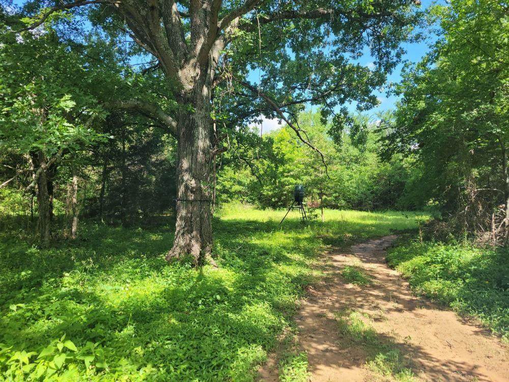 1240 Road - Photo 1