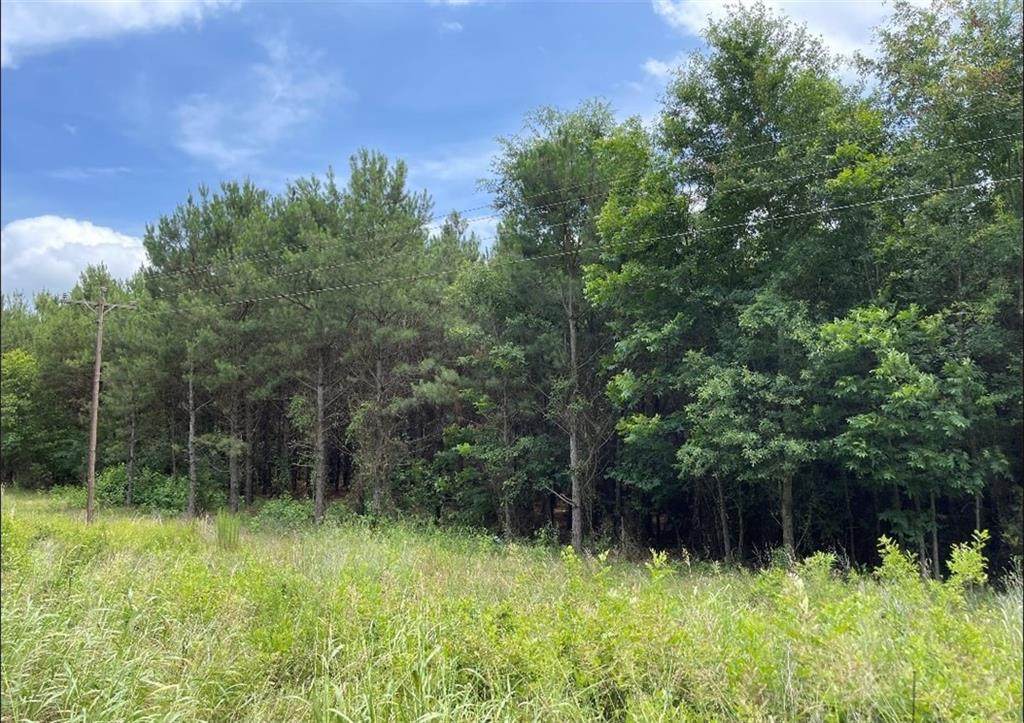 3020 Sandhill Road - Photo 1