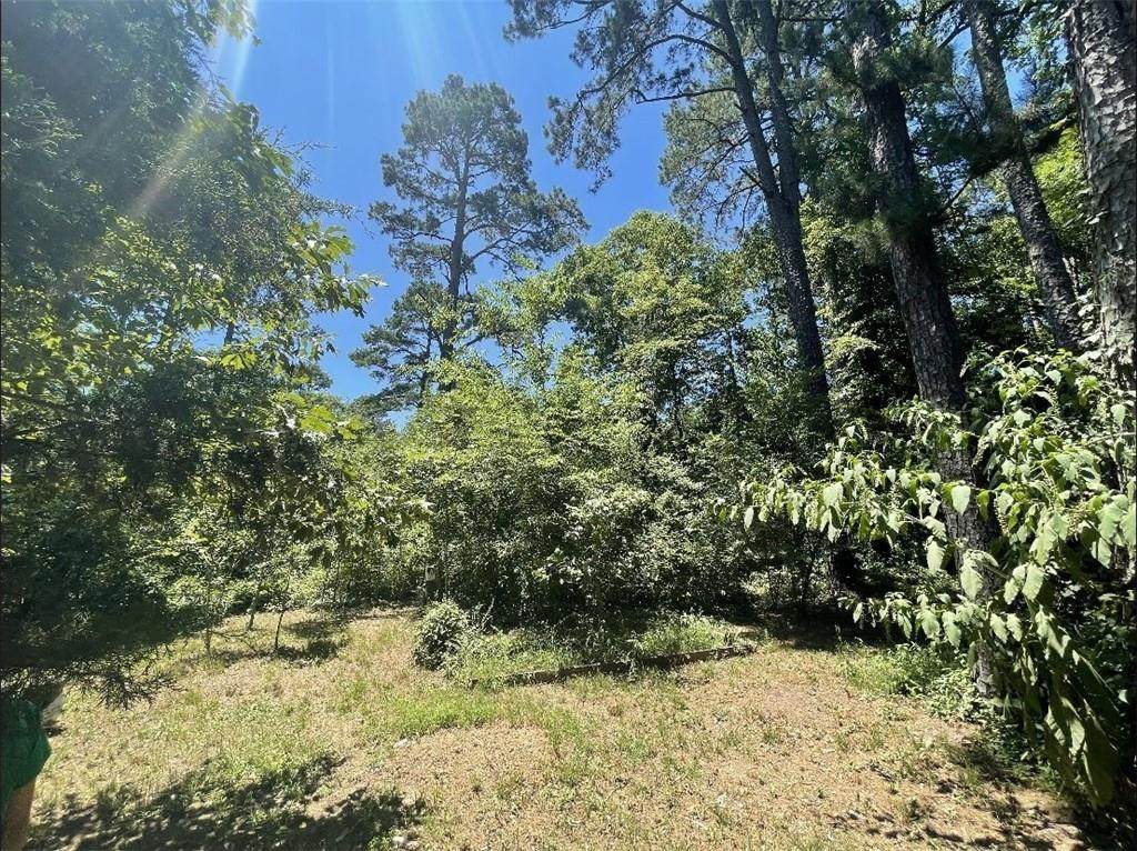 233 Johnny Beavers Trail Road - Photo 1