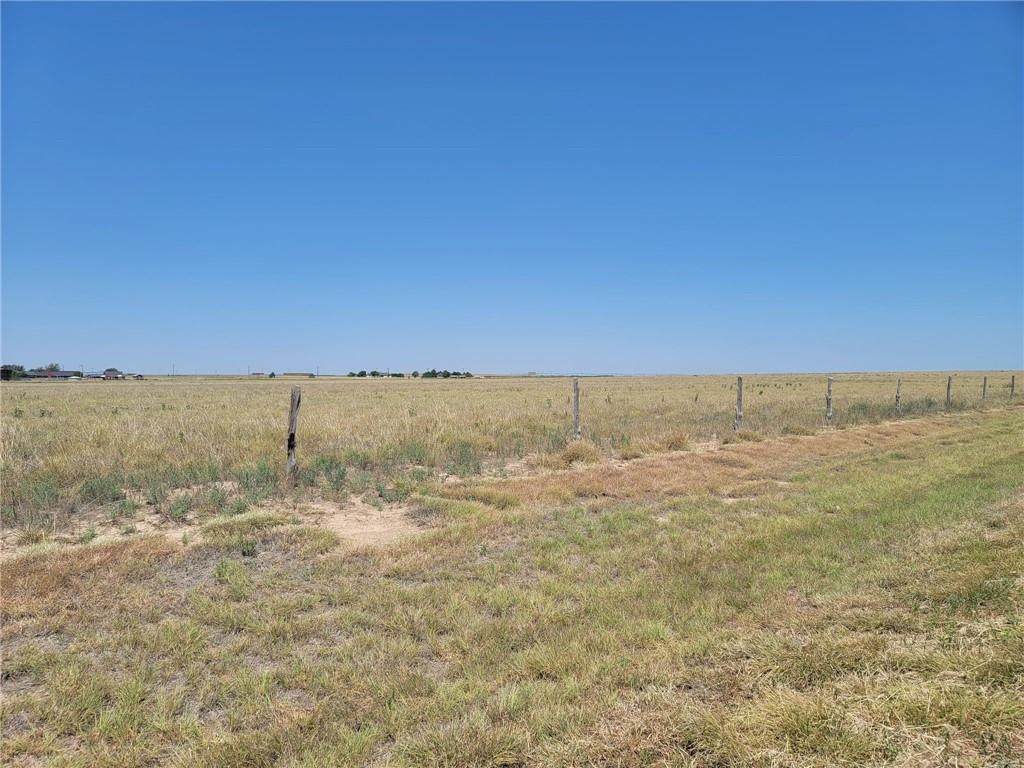 Buffalo Road - Photo 1