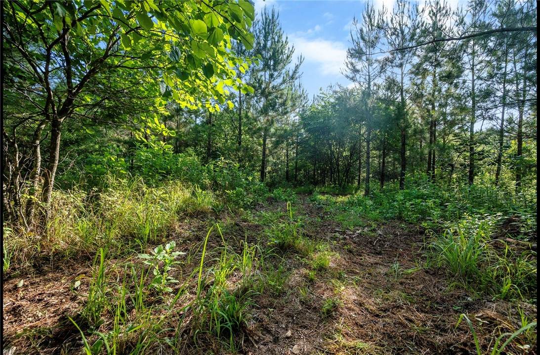 66 Watson Run - Photo 1
