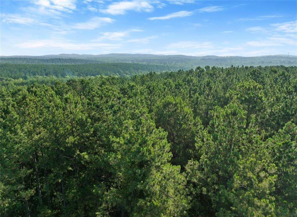 113 Hills Creek - Photo 1