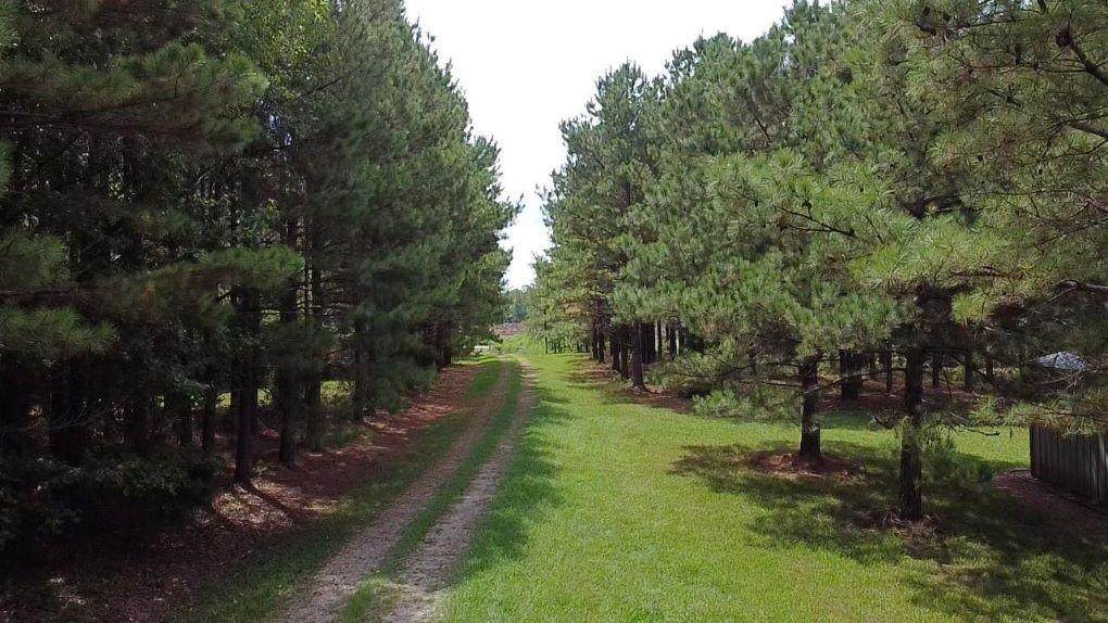 2621 Goodwater Road - Photo 1