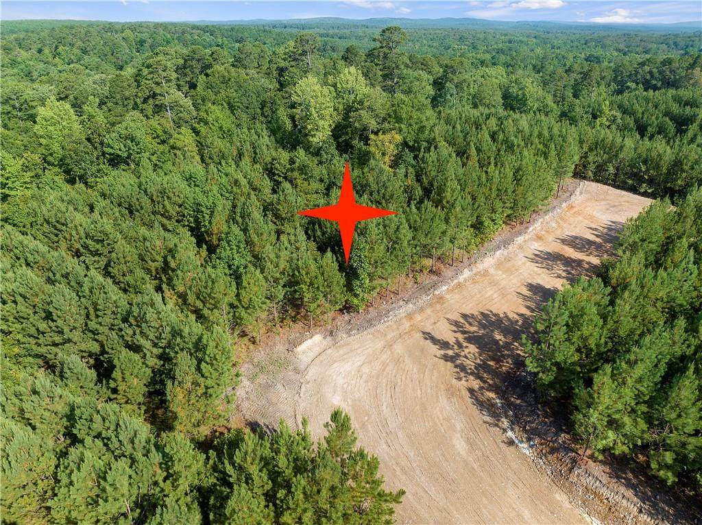 43 Legacy Point Trail - Photo 1