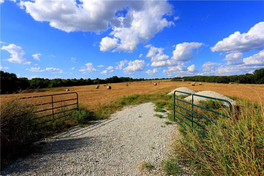39398 Skelly Road - Photo 1