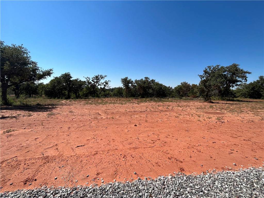 1220 Jerzee Mae Road - Photo 1